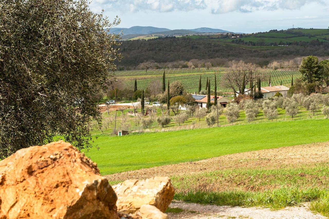 Artemisia Negli Ulivi B&B Magliano in Toscana Exteriör bild