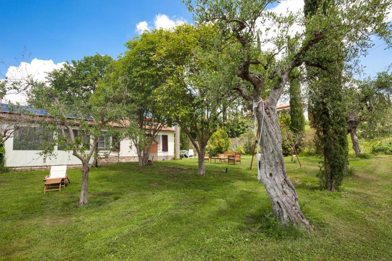 Artemisia Negli Ulivi B&B Magliano in Toscana Exteriör bild