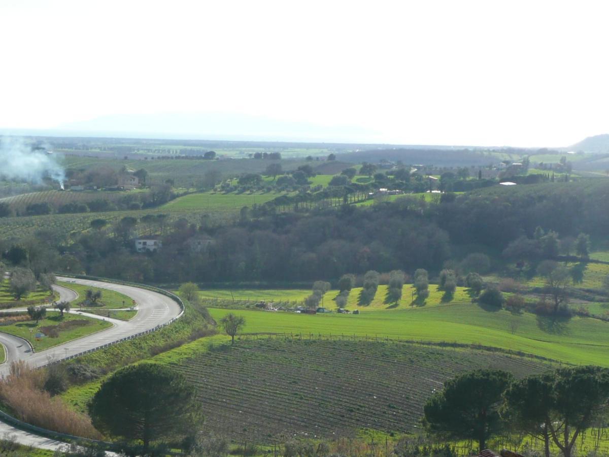 Artemisia Negli Ulivi B&B Magliano in Toscana Exteriör bild