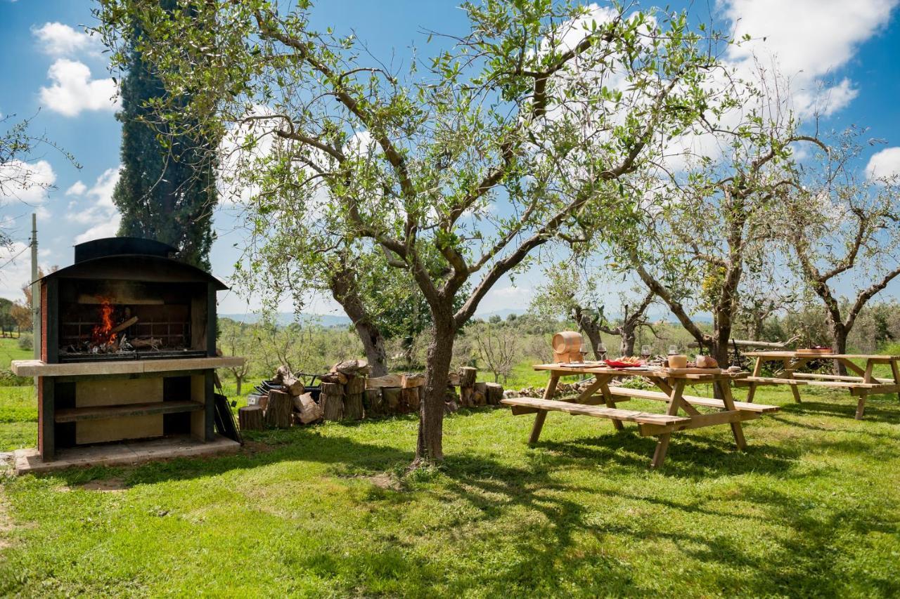 Artemisia Negli Ulivi B&B Magliano in Toscana Exteriör bild