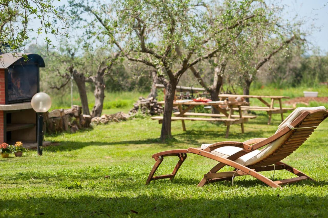 Artemisia Negli Ulivi B&B Magliano in Toscana Exteriör bild