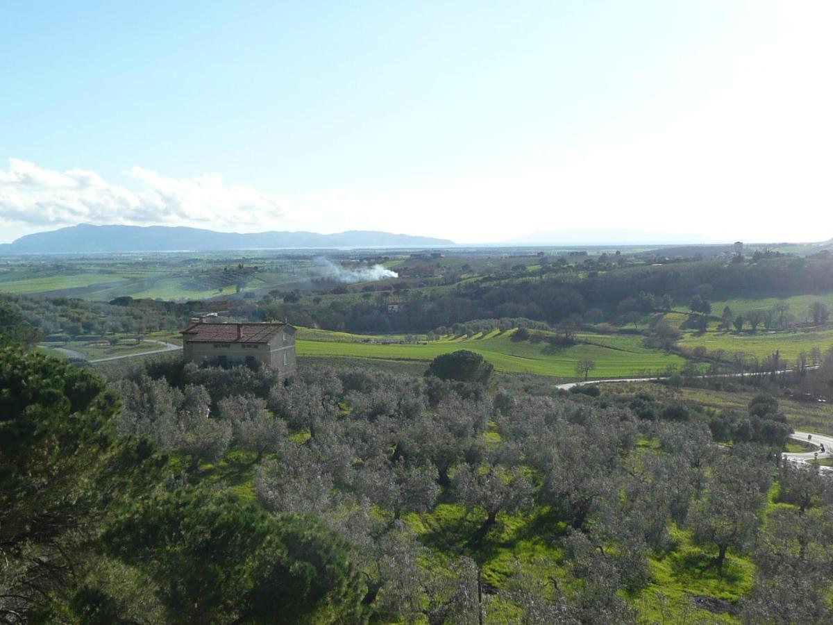 Artemisia Negli Ulivi B&B Magliano in Toscana Exteriör bild