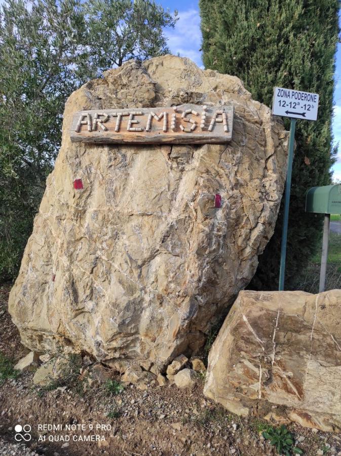 Artemisia Negli Ulivi B&B Magliano in Toscana Exteriör bild
