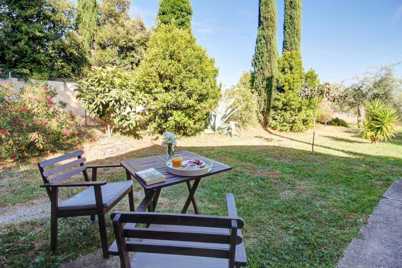 Artemisia Negli Ulivi B&B Magliano in Toscana Exteriör bild