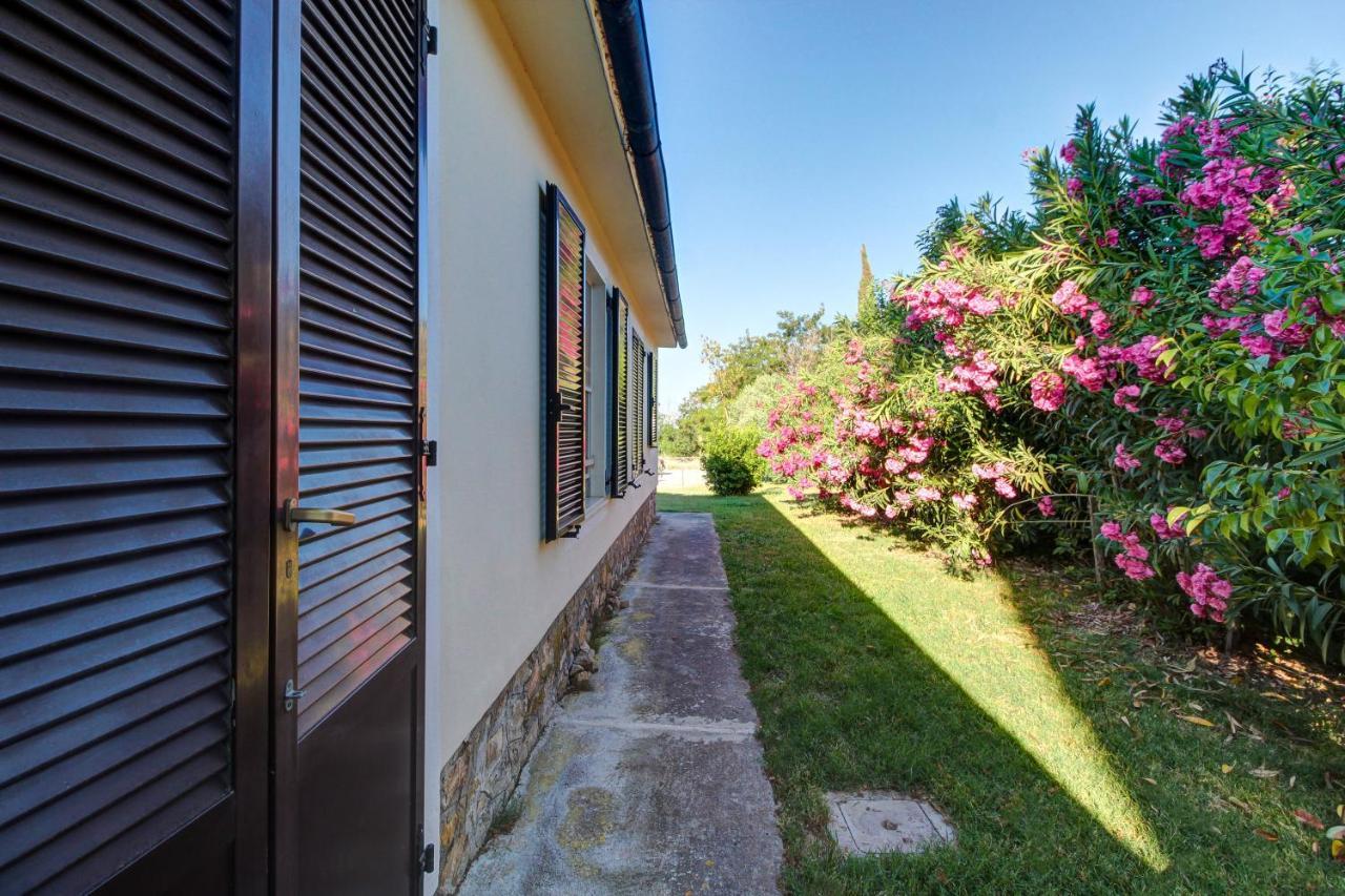 Artemisia Negli Ulivi B&B Magliano in Toscana Exteriör bild