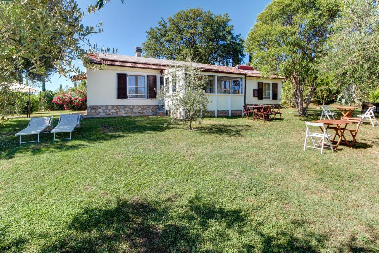 Artemisia Negli Ulivi B&B Magliano in Toscana Exteriör bild