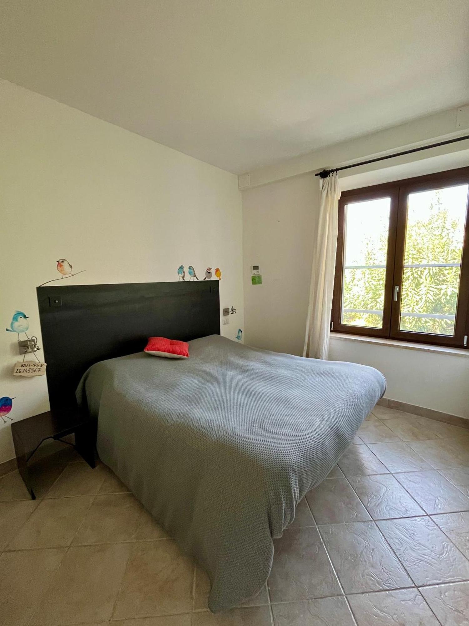 Artemisia Negli Ulivi B&B Magliano in Toscana Exteriör bild